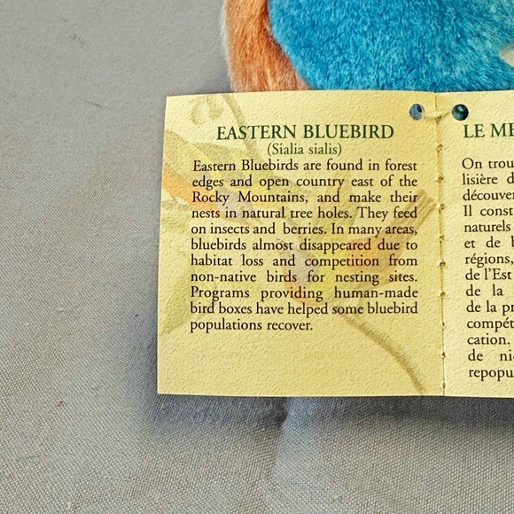 SINGING BIRD, PLAYS REAL BIRD CALLS, EASTERN BLUEBIRD, 6 L x 4 ½ W x 4 ¾ H INCH - Picture 8 of 16